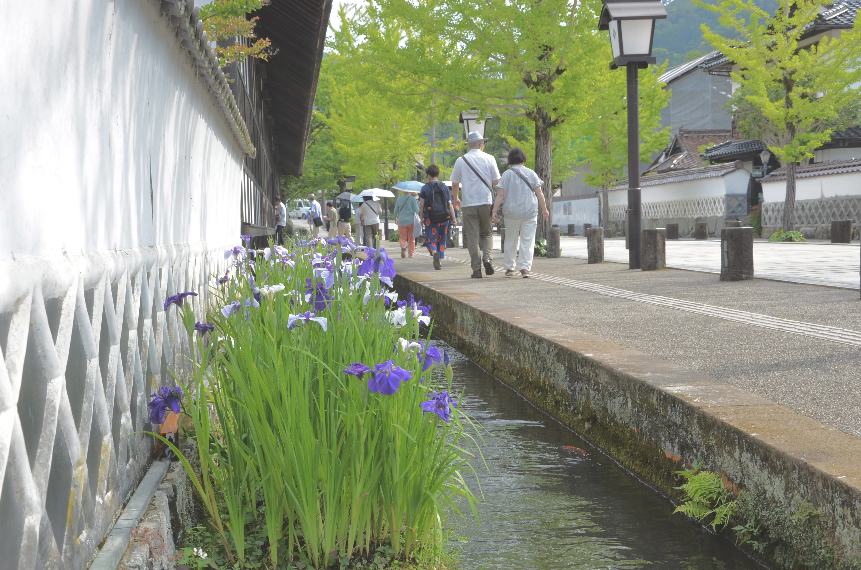 島根・津和野で体験を楽しむ 大人のための癒やしステイ