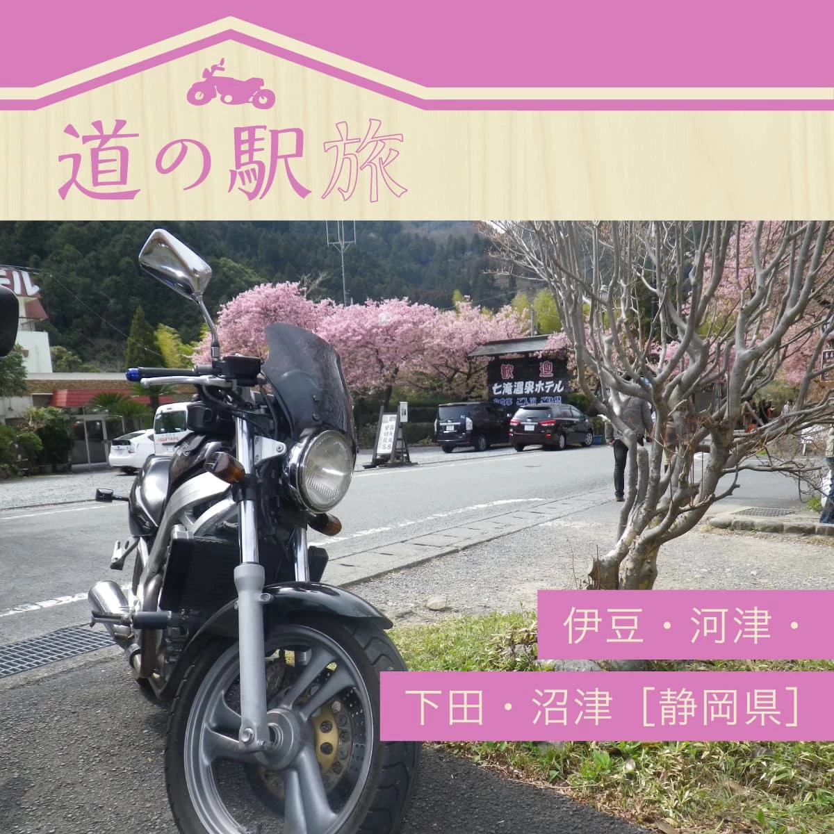 伊豆で道の駅＆河津桜を楽しむツーリング旅！ご当地グルメも堪能