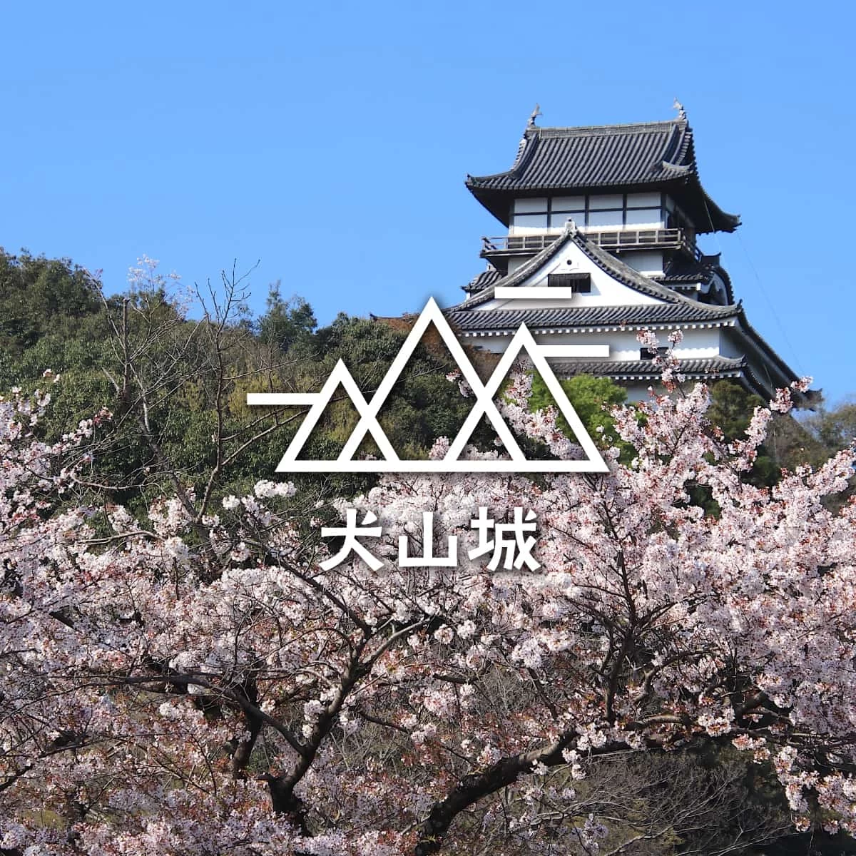 愛知の小牧山城＆犬山城へ！桜と歴史を楽しむ日帰りハイキング旅