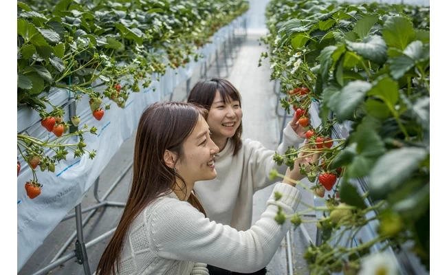 絶叫も絶景も美食も!徳島・にし阿波を遊び尽くす1泊2日の極上旅