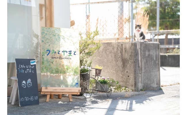 広島・下蒲刈島へふらっとドライブ　海と自然を満喫する日帰り旅