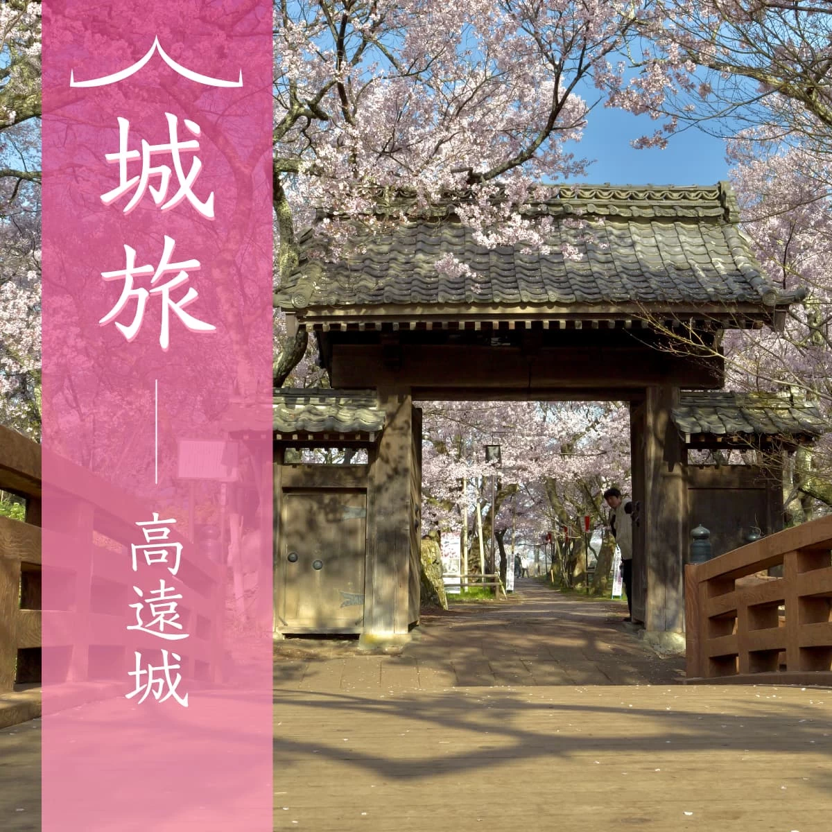 長野で“桜の名城”巡りを満喫!高島城から高遠城へ春の歴史旅