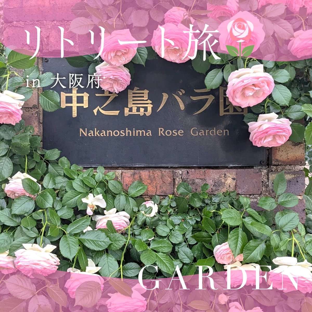 大阪・中之島周辺を歩く半日プラン！バラ園＆名建築を巡る散歩旅