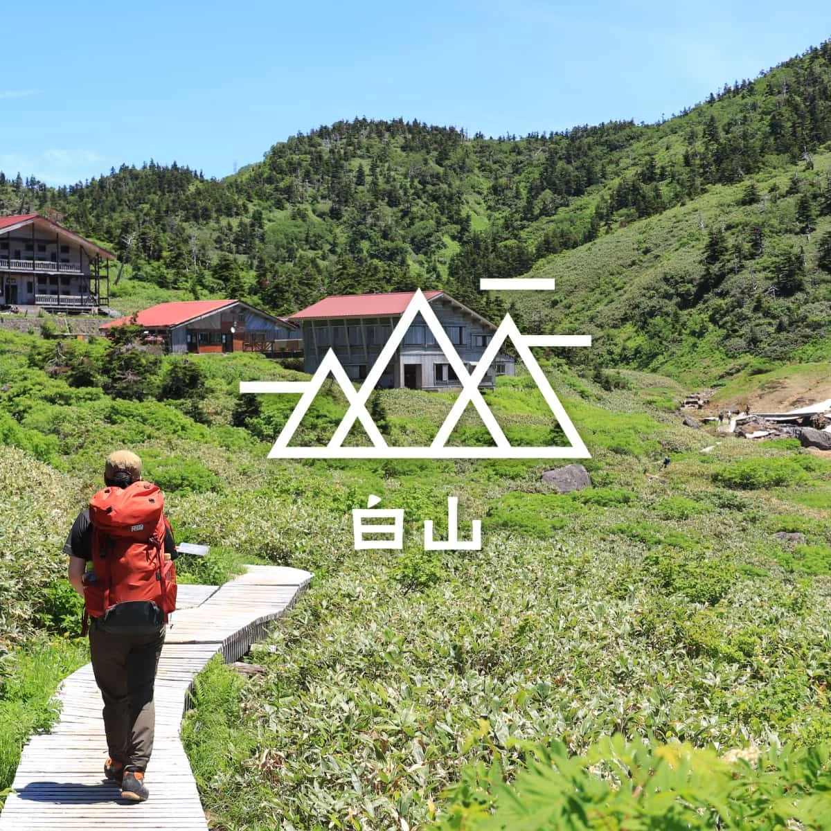 石川・花咲く夏の白山を歩く♪テント泊で絶景を満喫する山旅