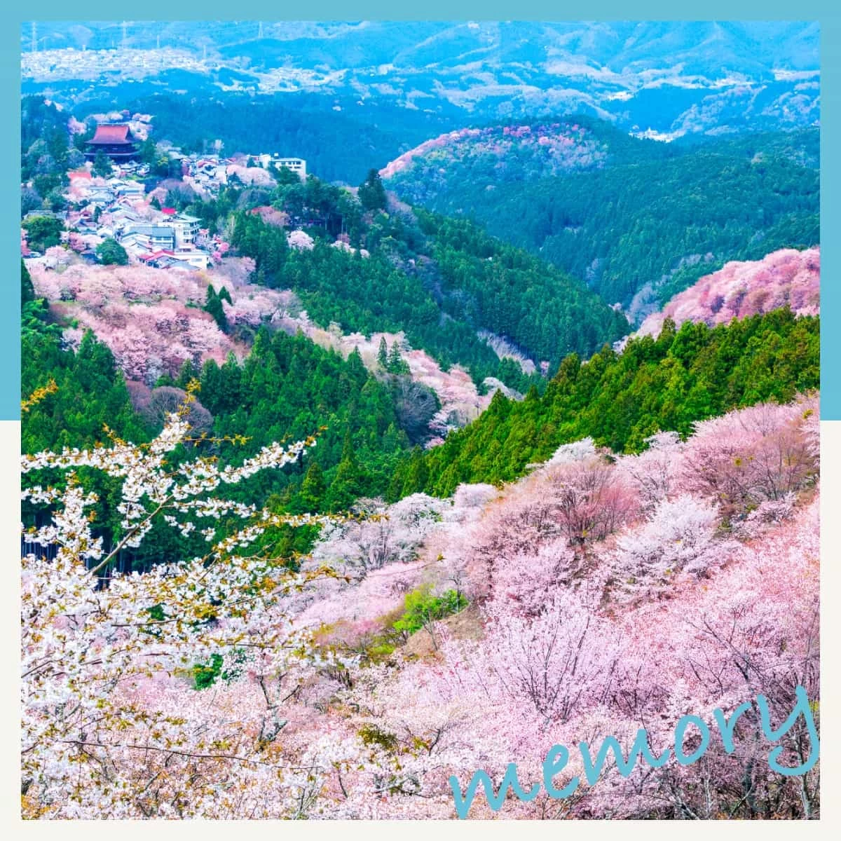奈良・吉野山の桜にうっとり。柿の葉寿司や吉野葛も味わう夫婦旅