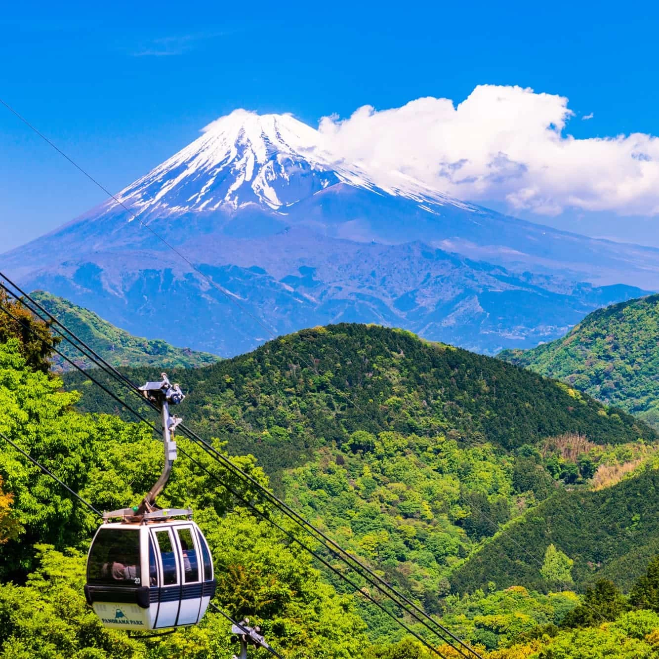 伊豆の川床付き宿でデート旅!富士山の絶景や竹林の小径も堪能