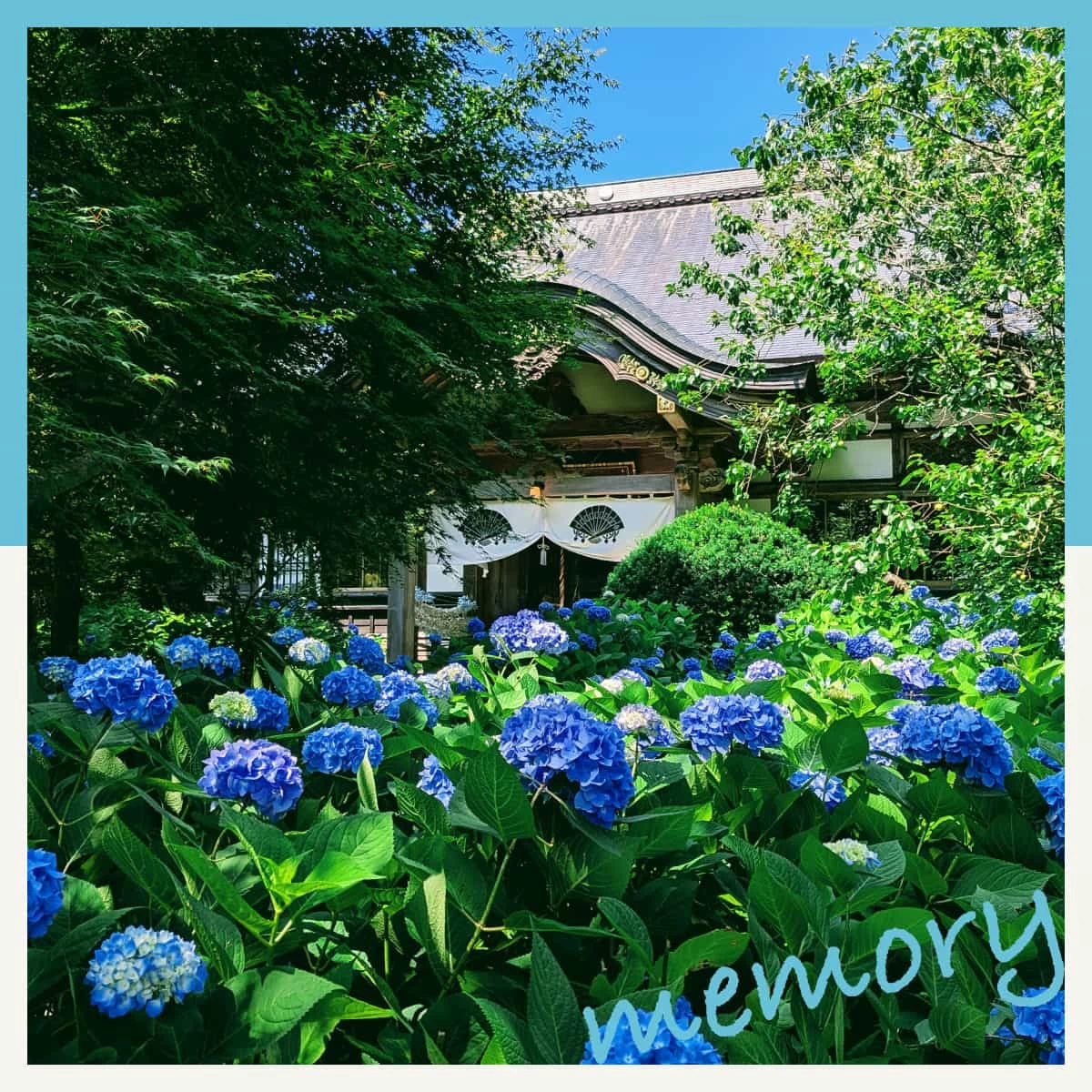 1泊2日モデルコース！秋田のウユニ塩湖もあじさい寺も巡る夏旅
