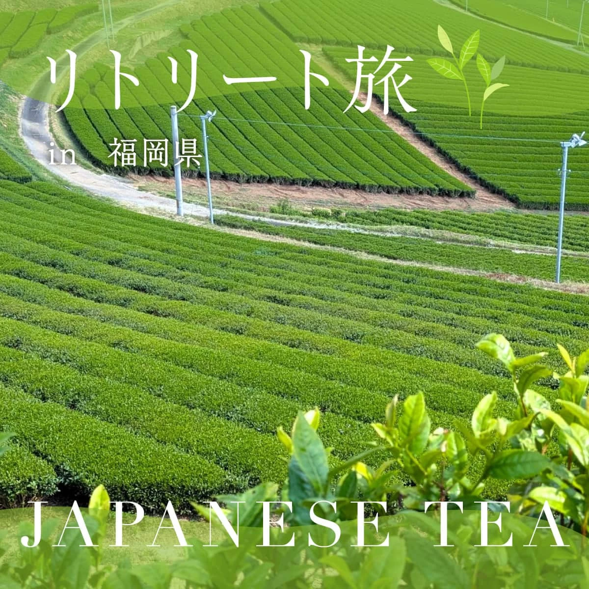 福岡・日本一の玉露の郷へ！八女福島の旧商家に泊まる文化体験旅