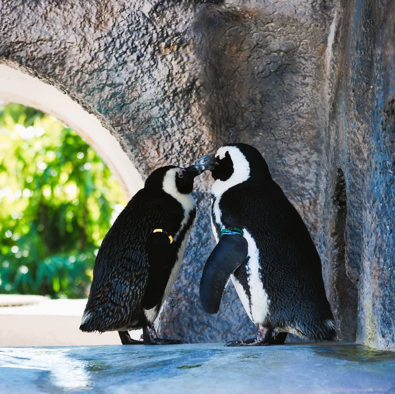 友だちと上野動物園を満喫！アメ横やレトロ喫茶も巡る休日旅