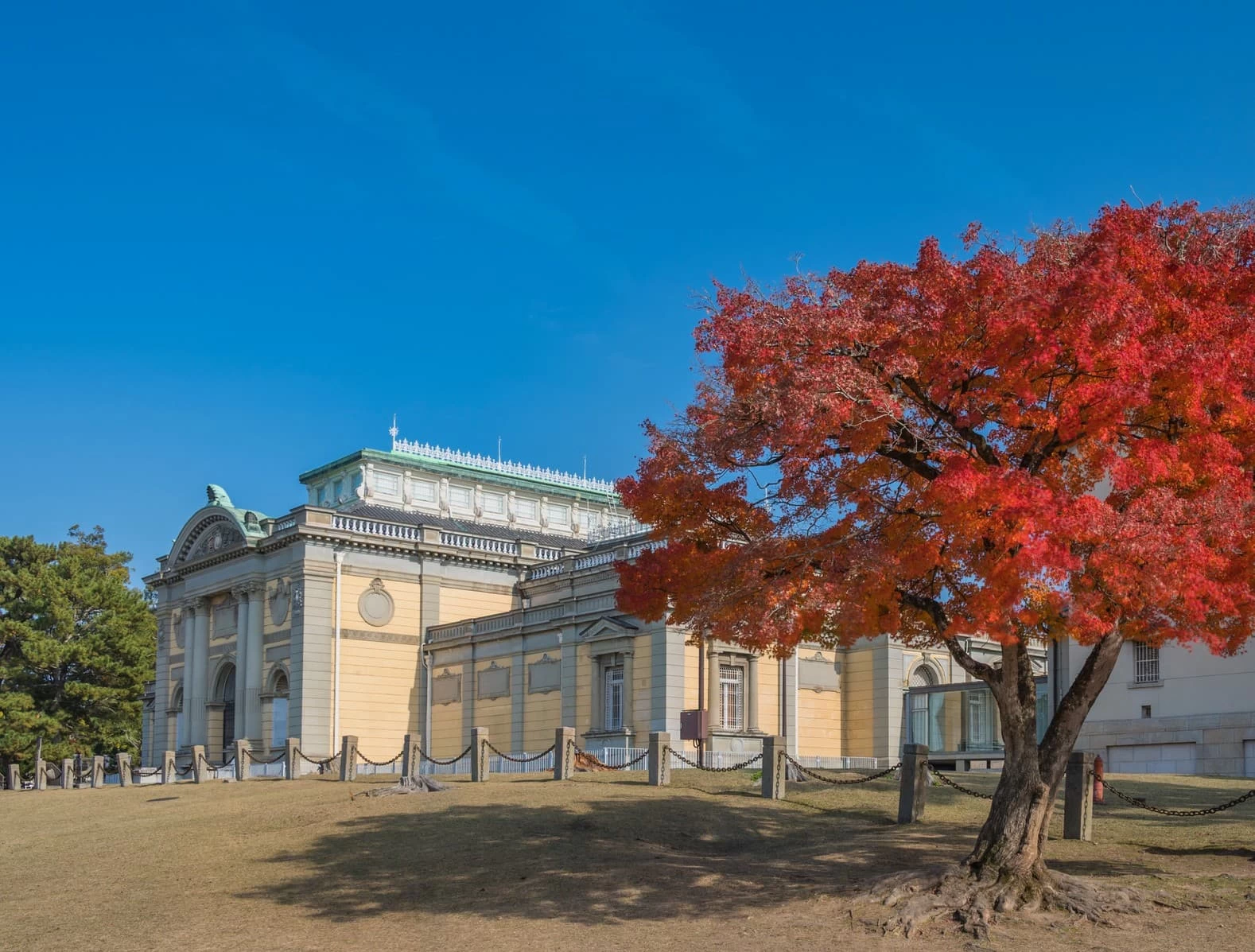奈良日帰り観光モデルコース　正倉院展・興福寺・商店街を巡る旅