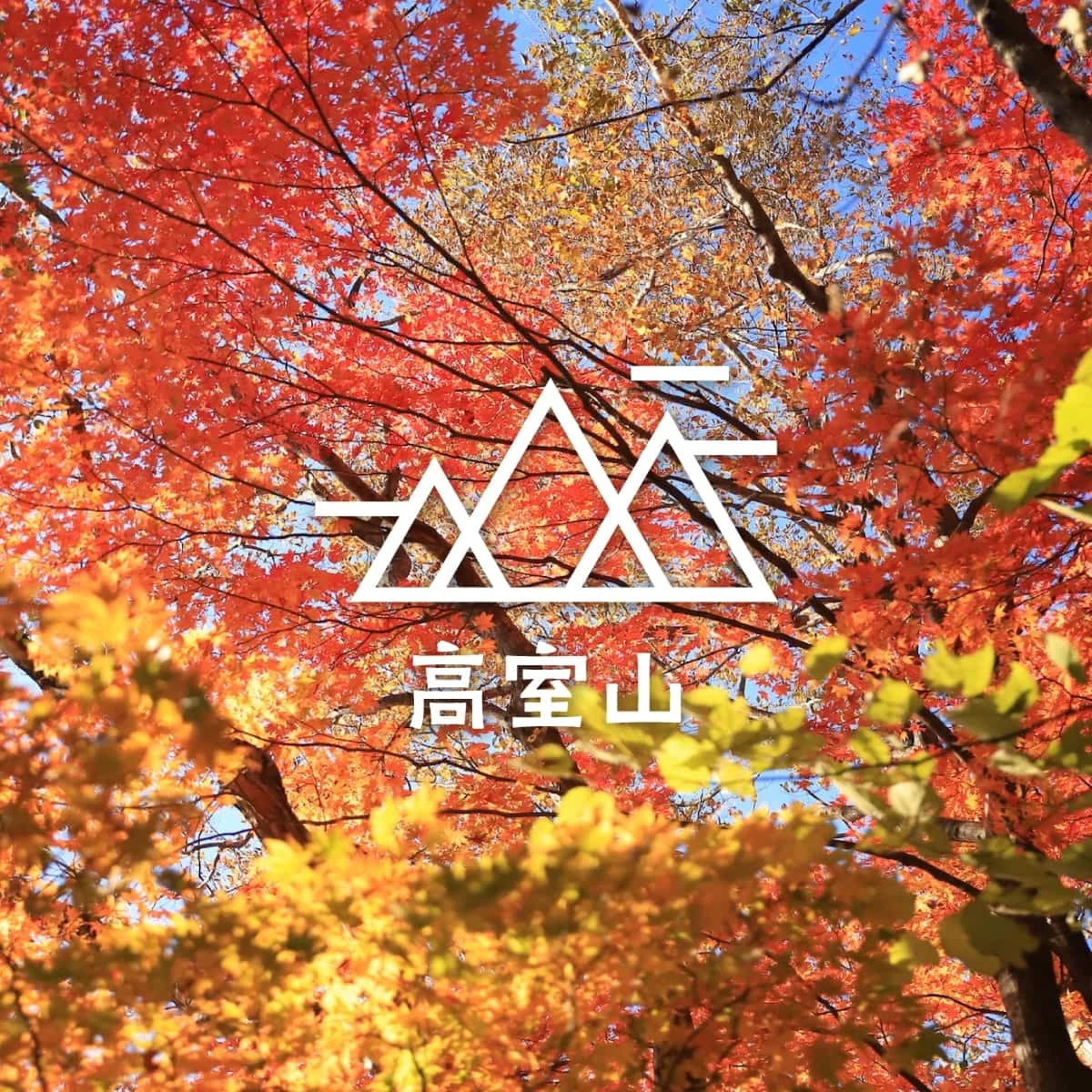 滋賀・高室山で紅葉登山を満喫!晩秋の琵琶湖ドライブも楽しむ旅