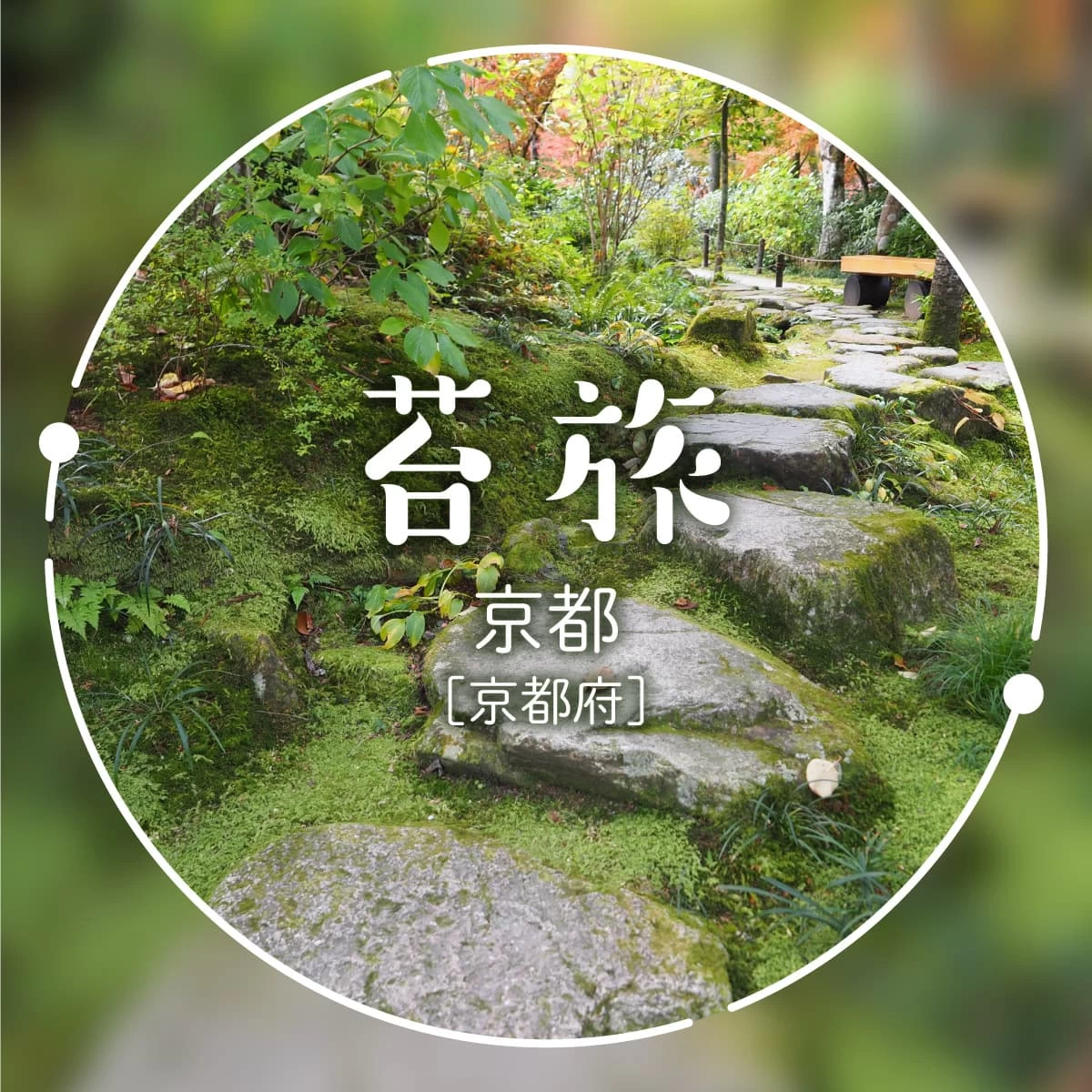 京都・大原をコケ散歩!美しい苔庭や里山の味覚も楽しむ秋の一日