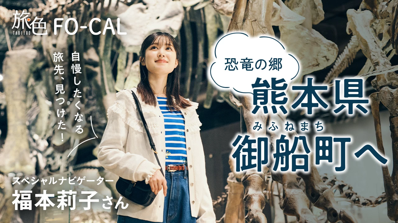 紹介動画