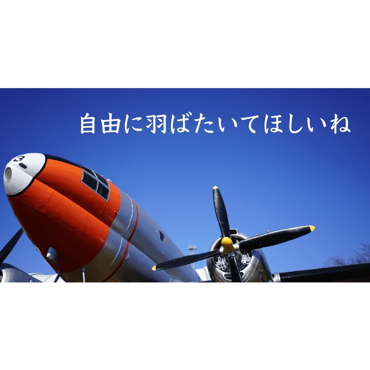 10 Off Hi Ez8 航空 所沢航空発祥記念館 彩の国さいたま テレカ Paroissesaintmaximin Fr