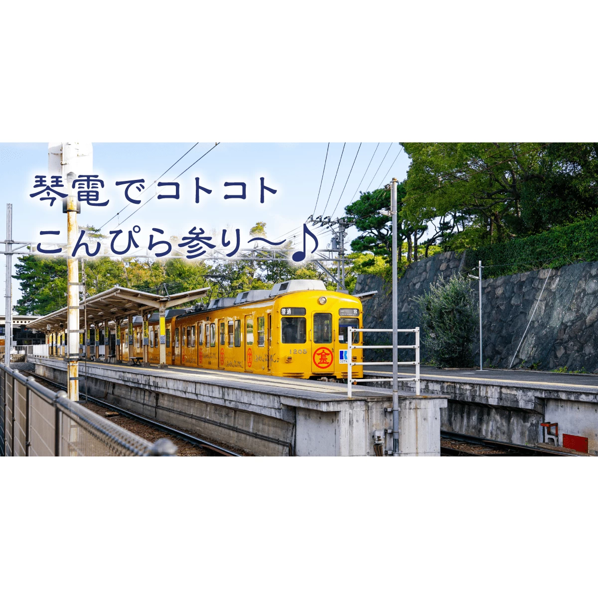 高松発・車なしで楽しむモデルコース 金刀比羅宮や丸亀城巡り|旅行プランは旅色で。