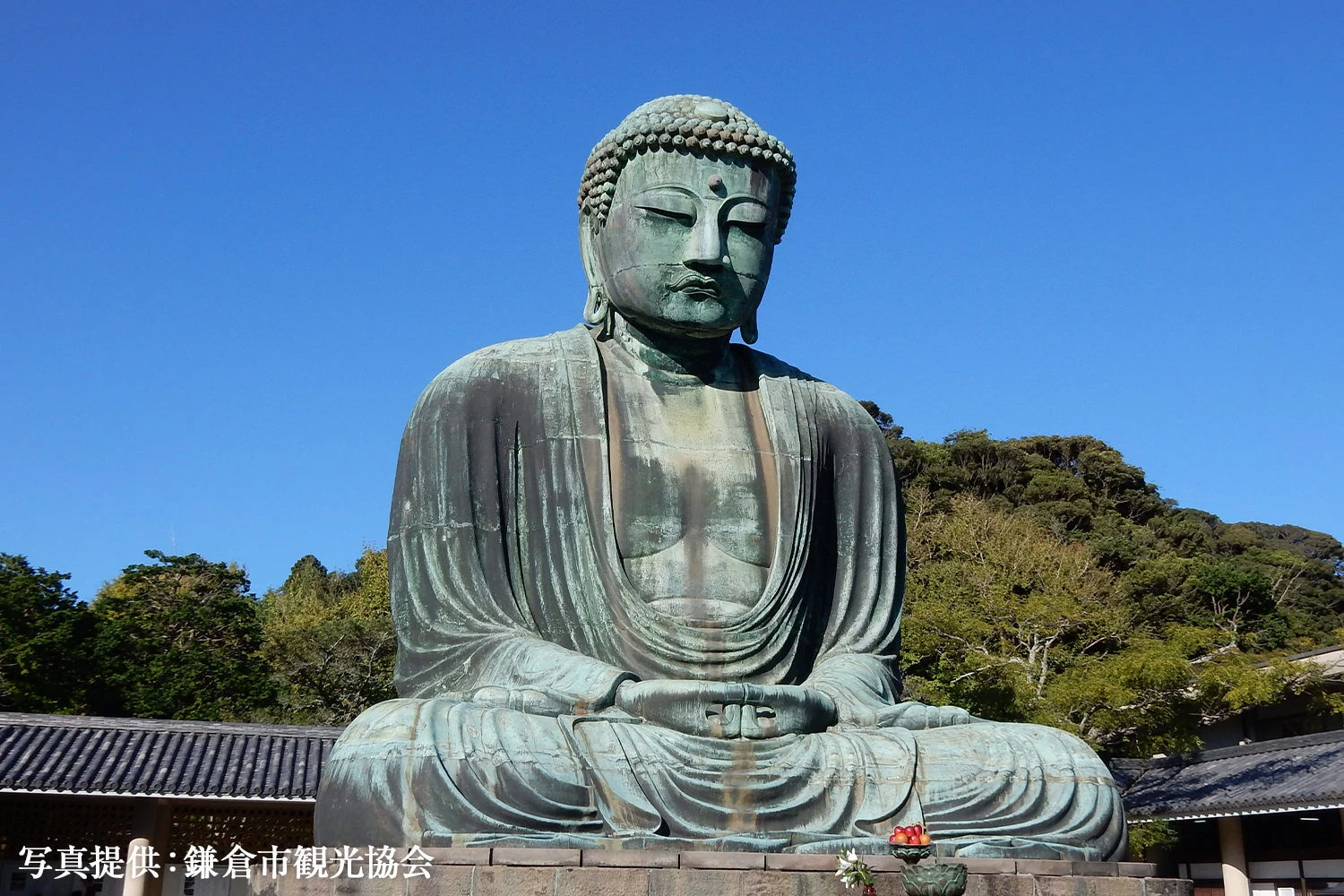 鎌倉・報国寺の竹林で癒やされる！鎌倉大仏も巡るデトックス旅｜旅行