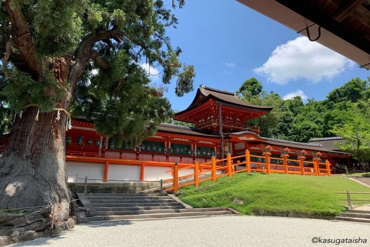 お散歩にもピッタリ 奈良公園で御朱印集め旅 ｜旅行プランは旅色で。