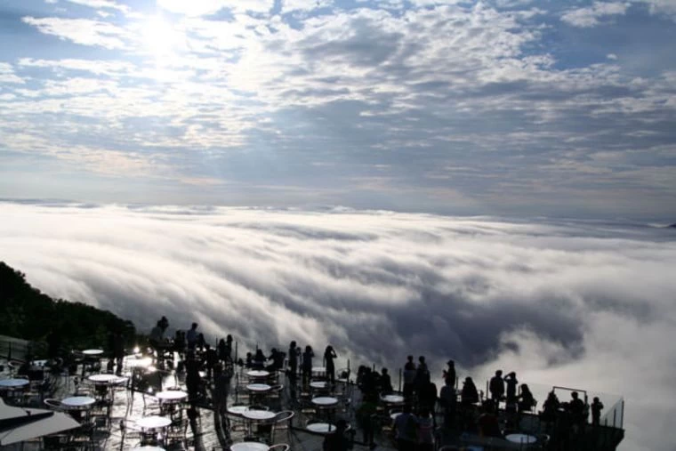 雲海テラス