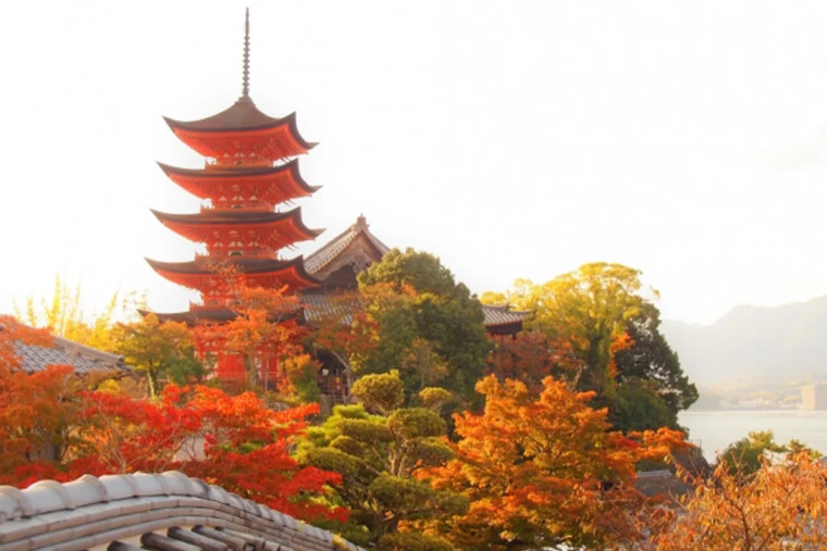 厳島神社×紅葉狩り｜グルメも楽しむ女子旅｜みんなの旅プラン【旅色