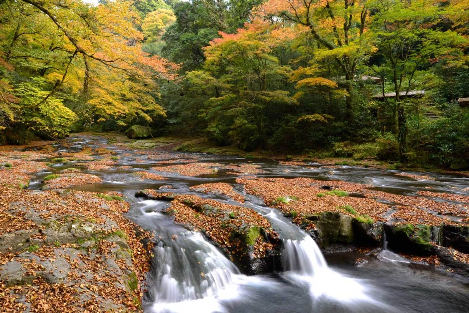 紅葉が美しい広河原