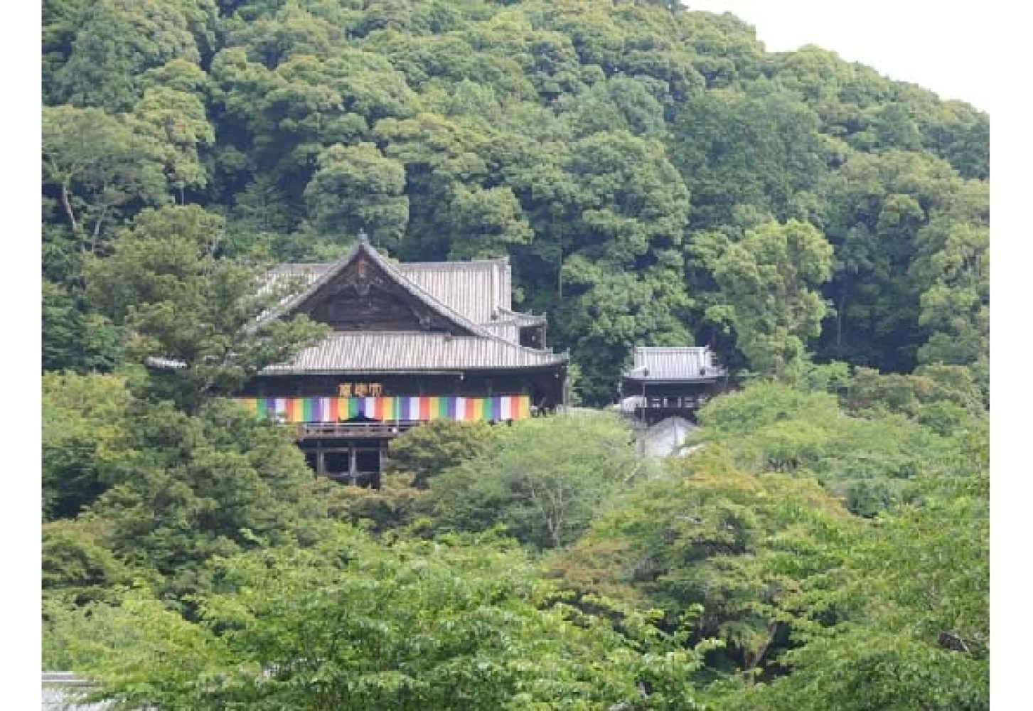 山の木々に囲まれた壮麗な雰囲気の寺院