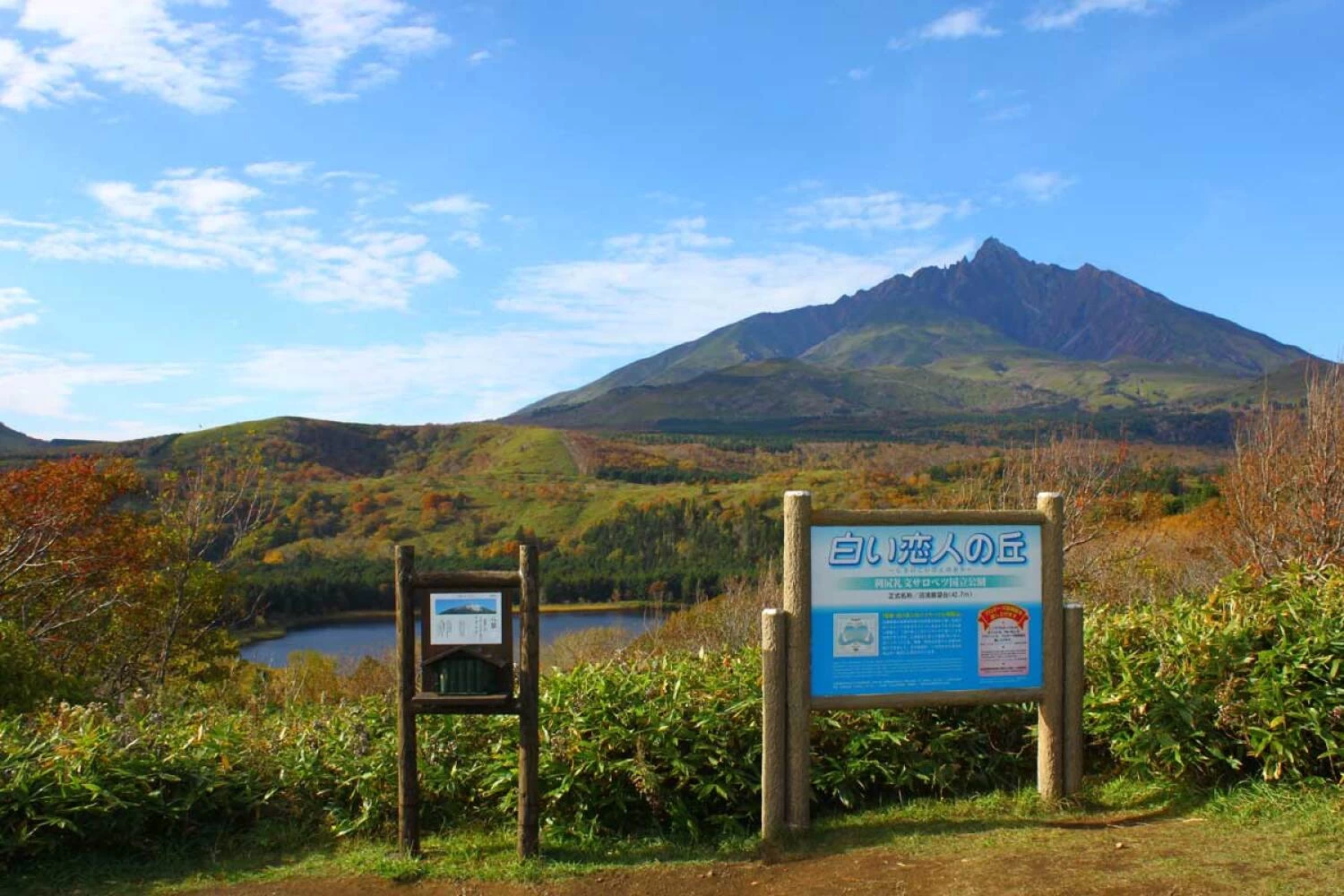 北海道の稚内・利尻島・礼文島へ絶景旅。グルメ＆ウニ採り体験も（2日