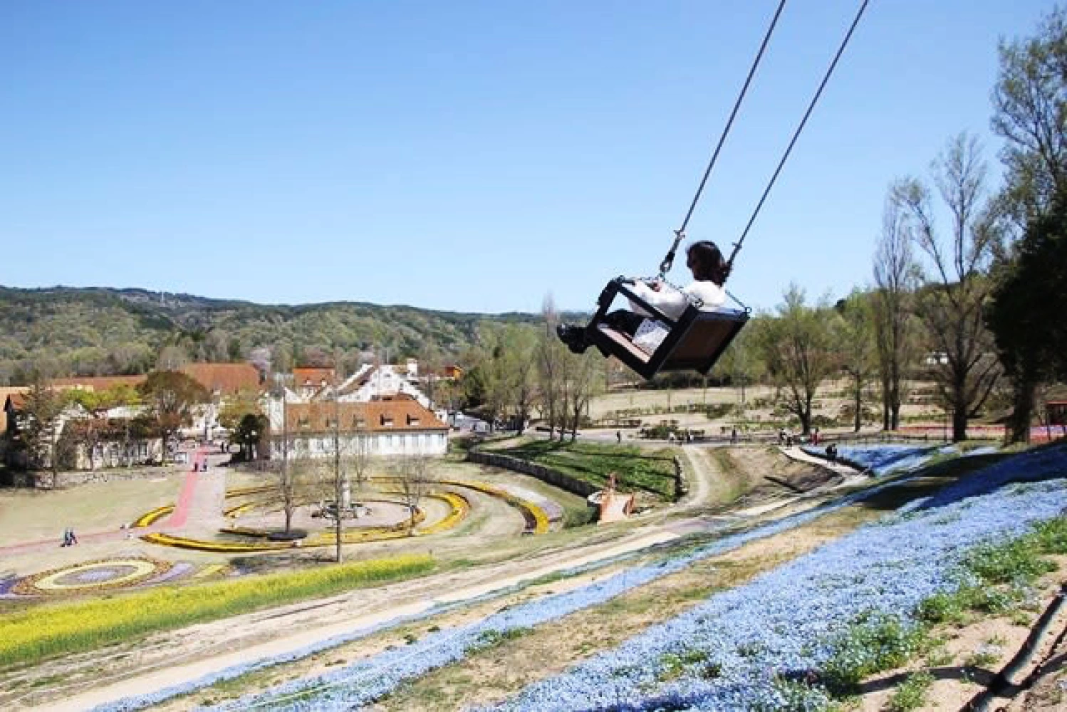 ハイジのブランコ