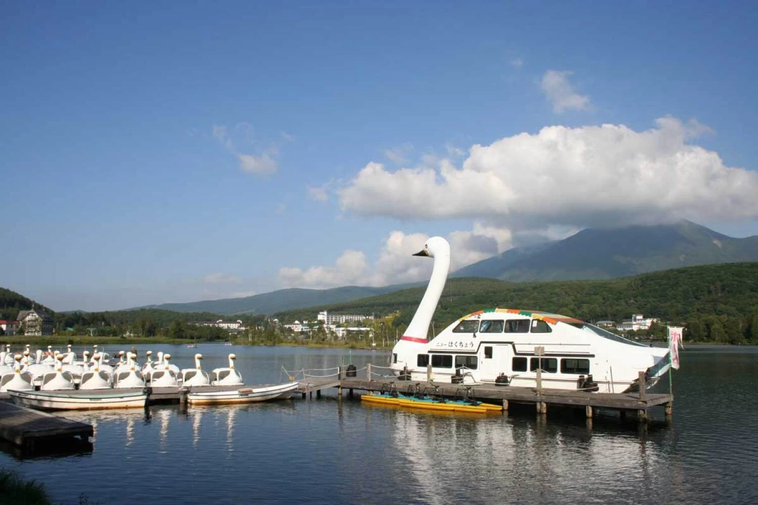 白鳥ボート 写真提供:立科町産業振興課