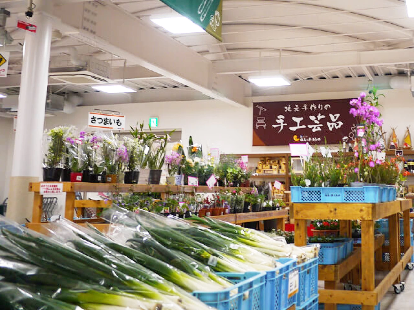 新鮮な野菜