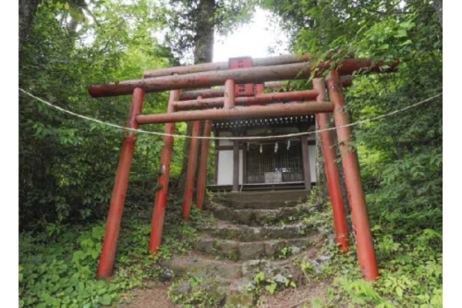 神秘的な雰囲気の出口稲荷神社