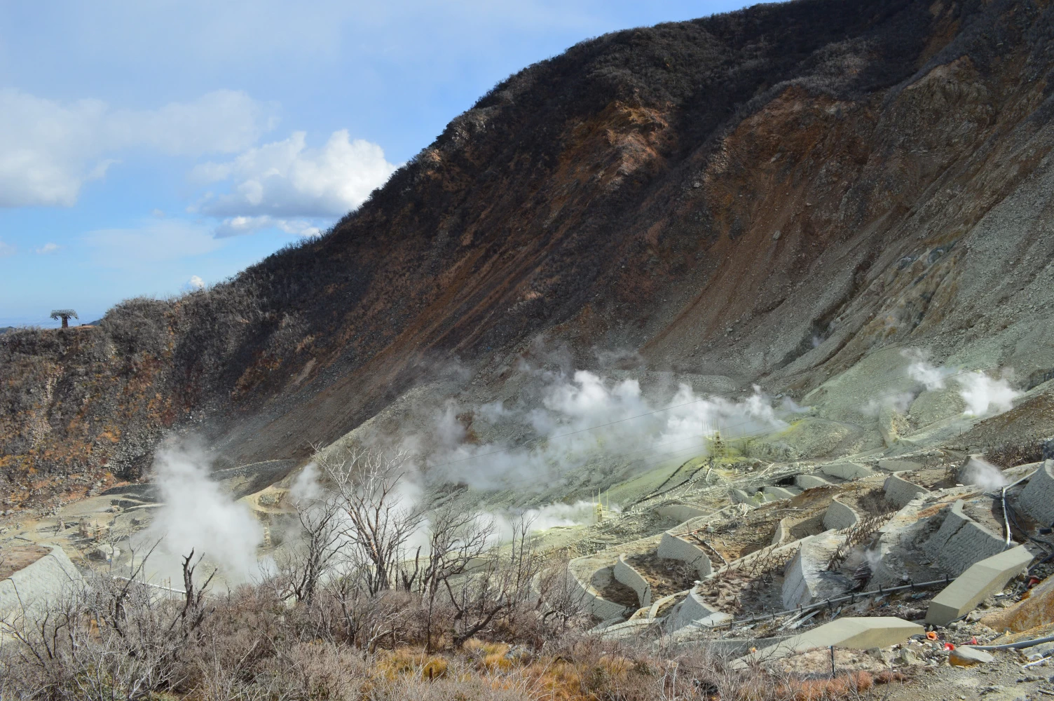 火山活動で形成された箱根屈指の景勝地