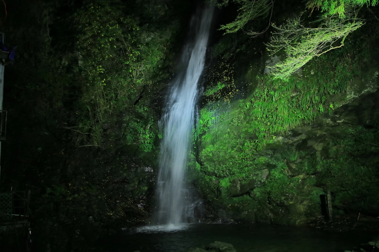 夜闇に映し出される幻想的な「琵琶の滝」