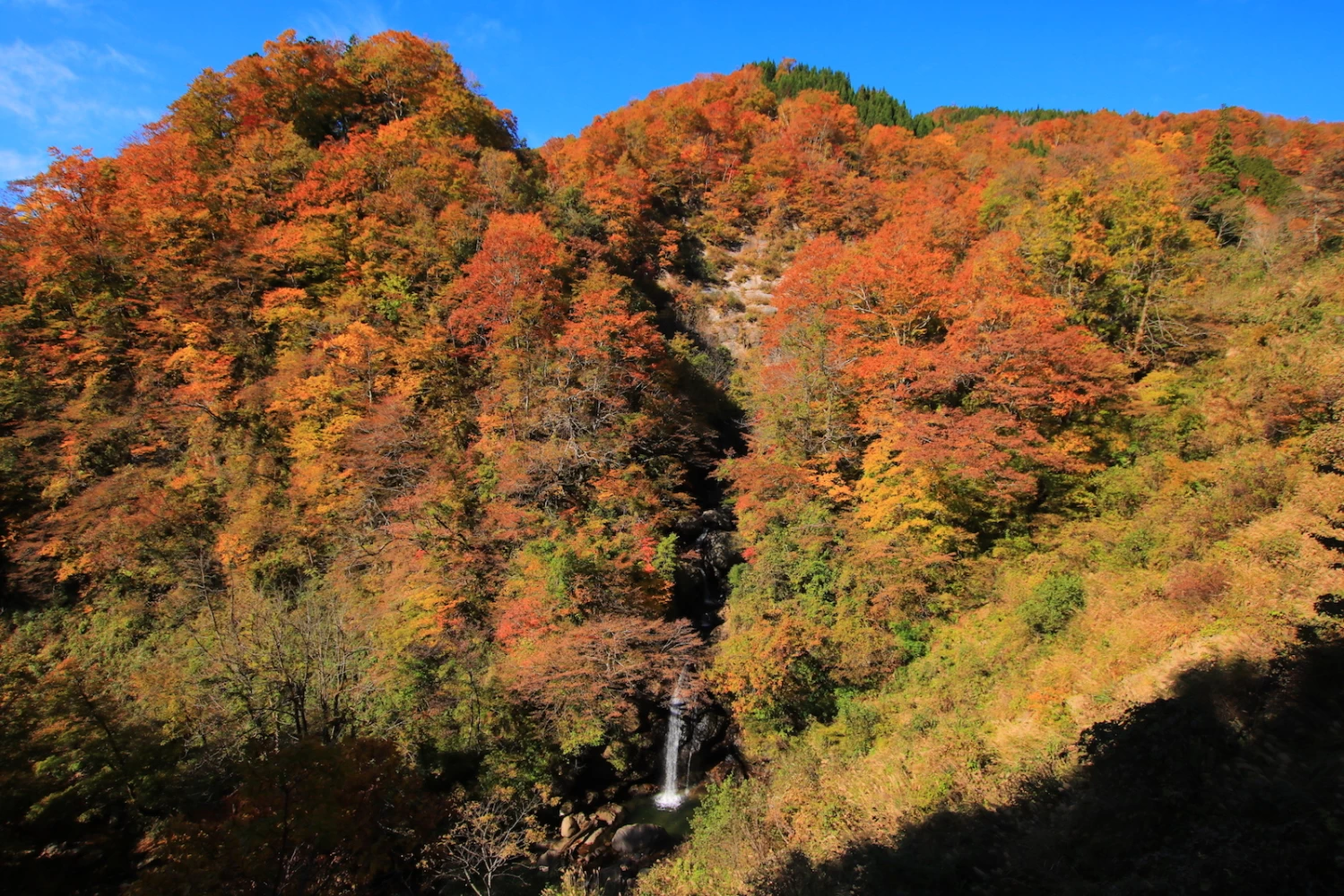 紅葉に抱かれる「さごさかの滝」