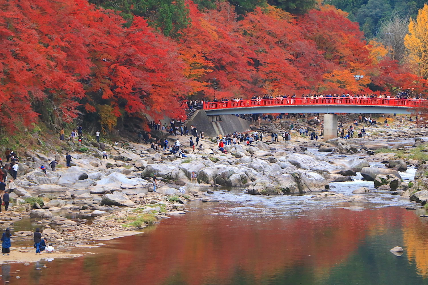 巴橋からの眺め、紅葉が水面に映える
