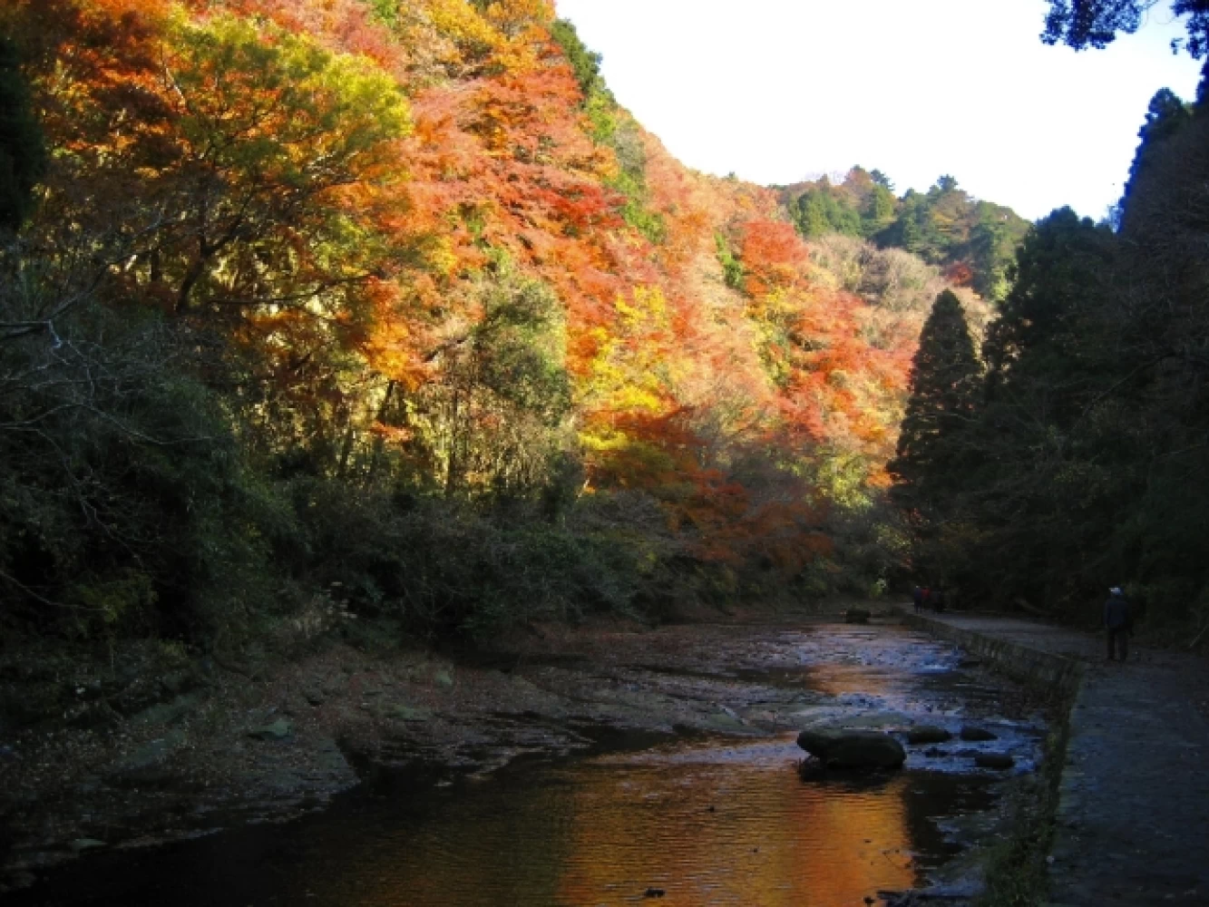 養老 渓谷 デート