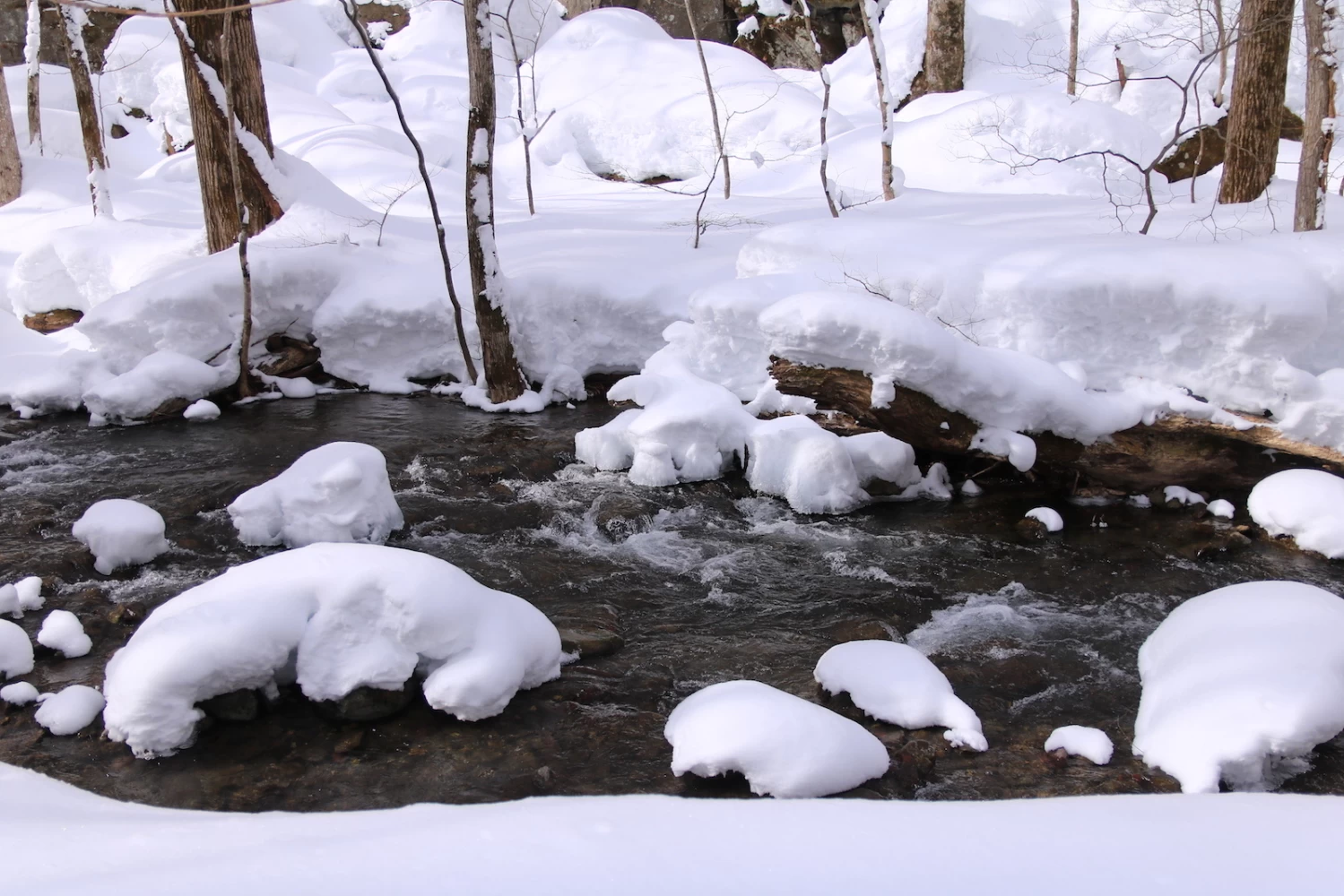 雪と渓流が織りなす美しさ