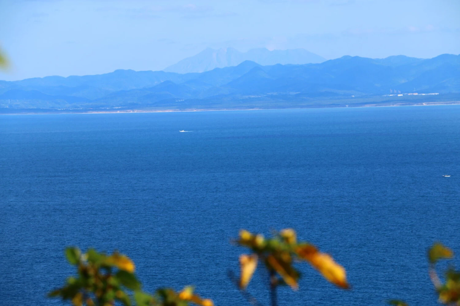 高崎山展望所から桜島を眺望