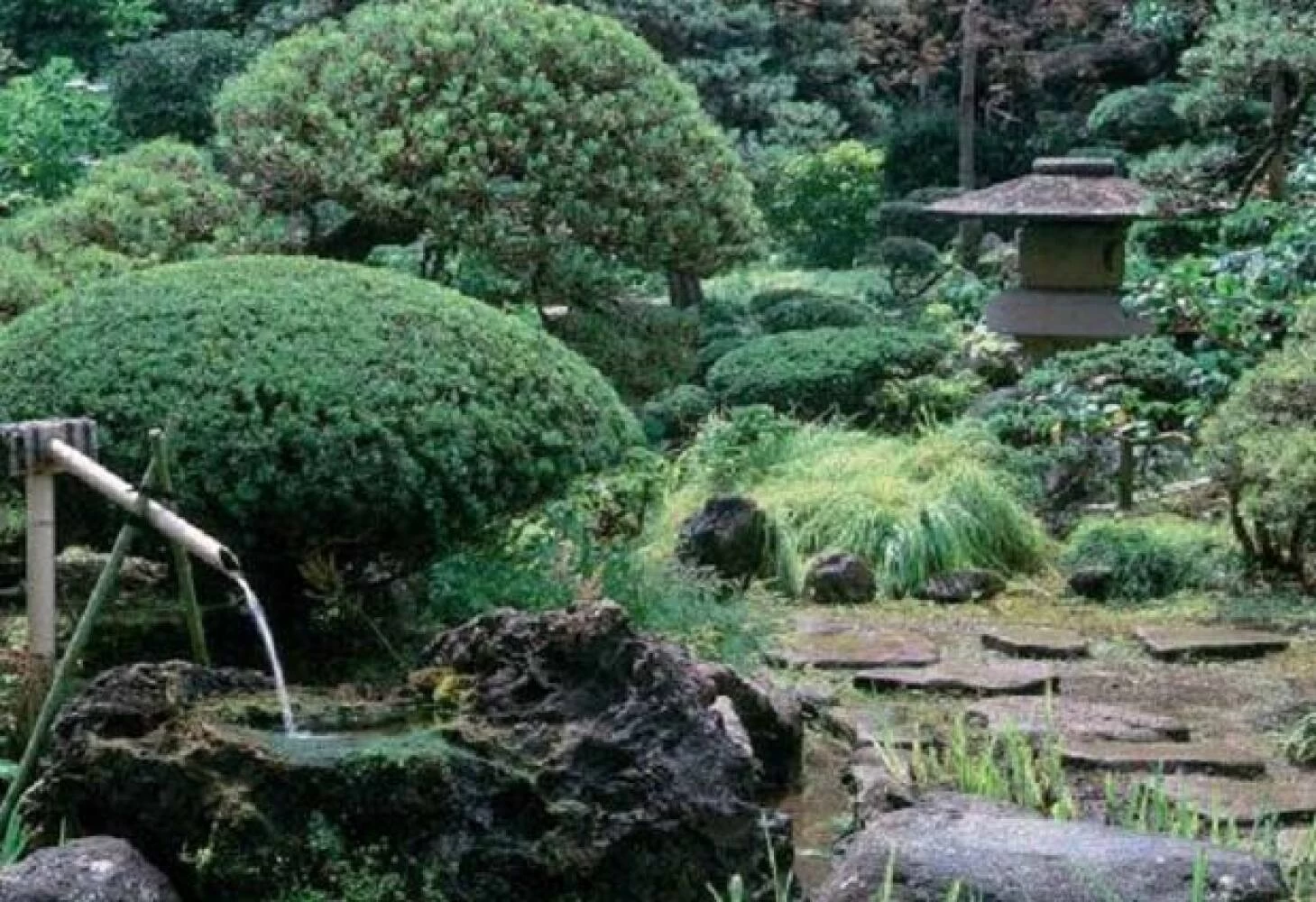 伝統ある日本庭園