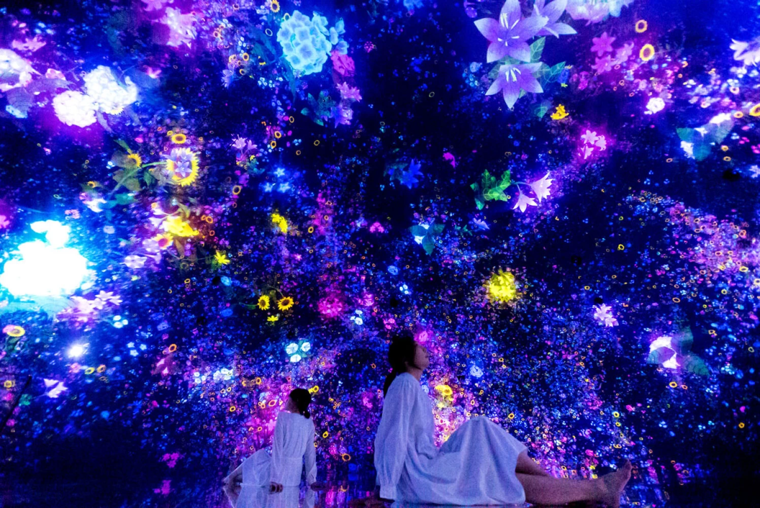 Floating-in-the-Falling-Universe-of-Flowers