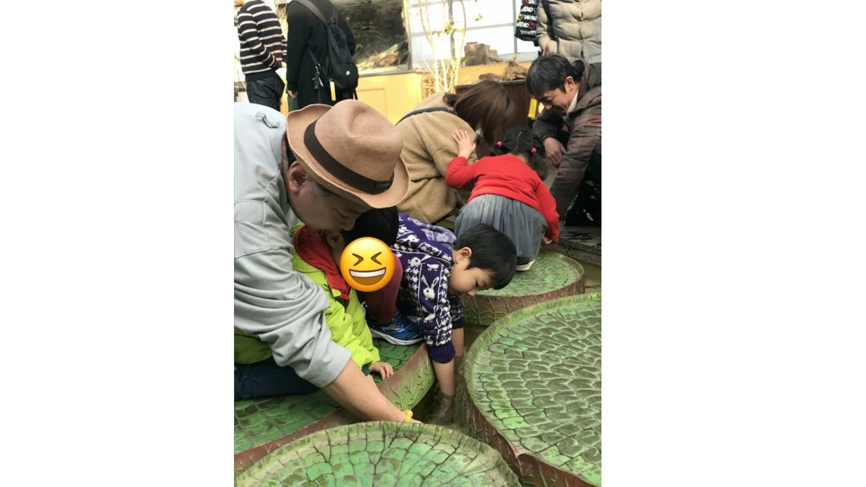 「奇跡の森」でドクターフィッシュ体験