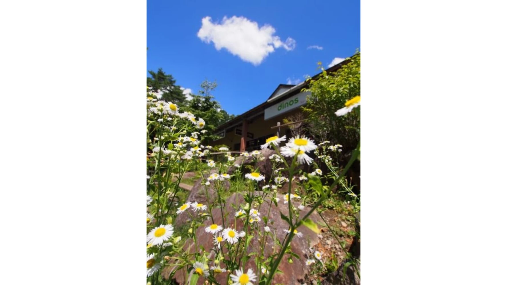 アウトレット④