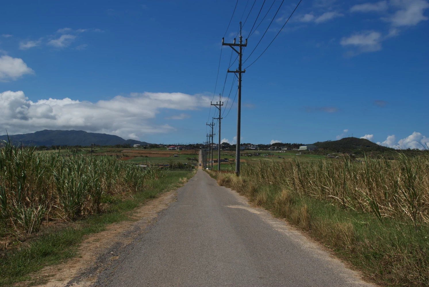 シュガーロードとサトウキビ畑　写真提供：竹富町観光協会