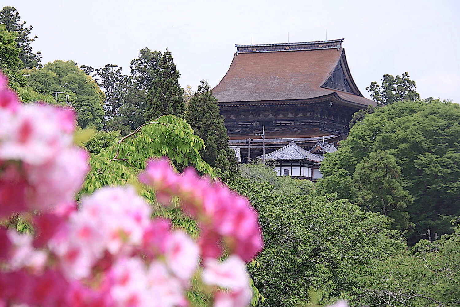 吉水神社へ行く参道から眺める「蔵王堂」