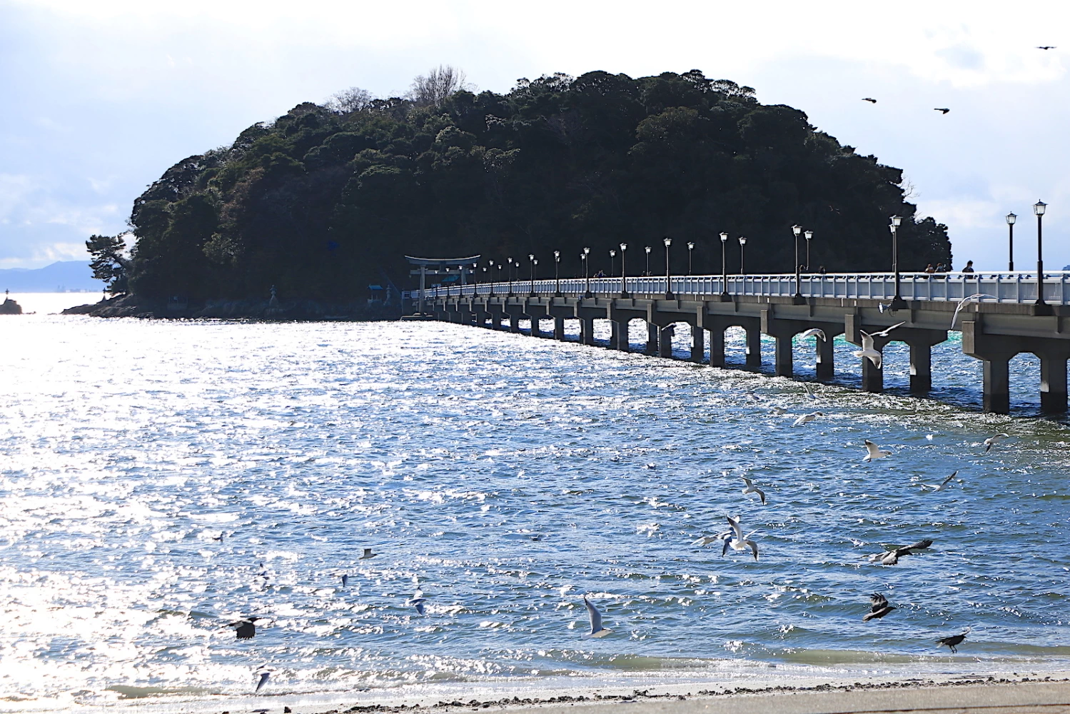 カモメが飛び交う冬の竹島橋