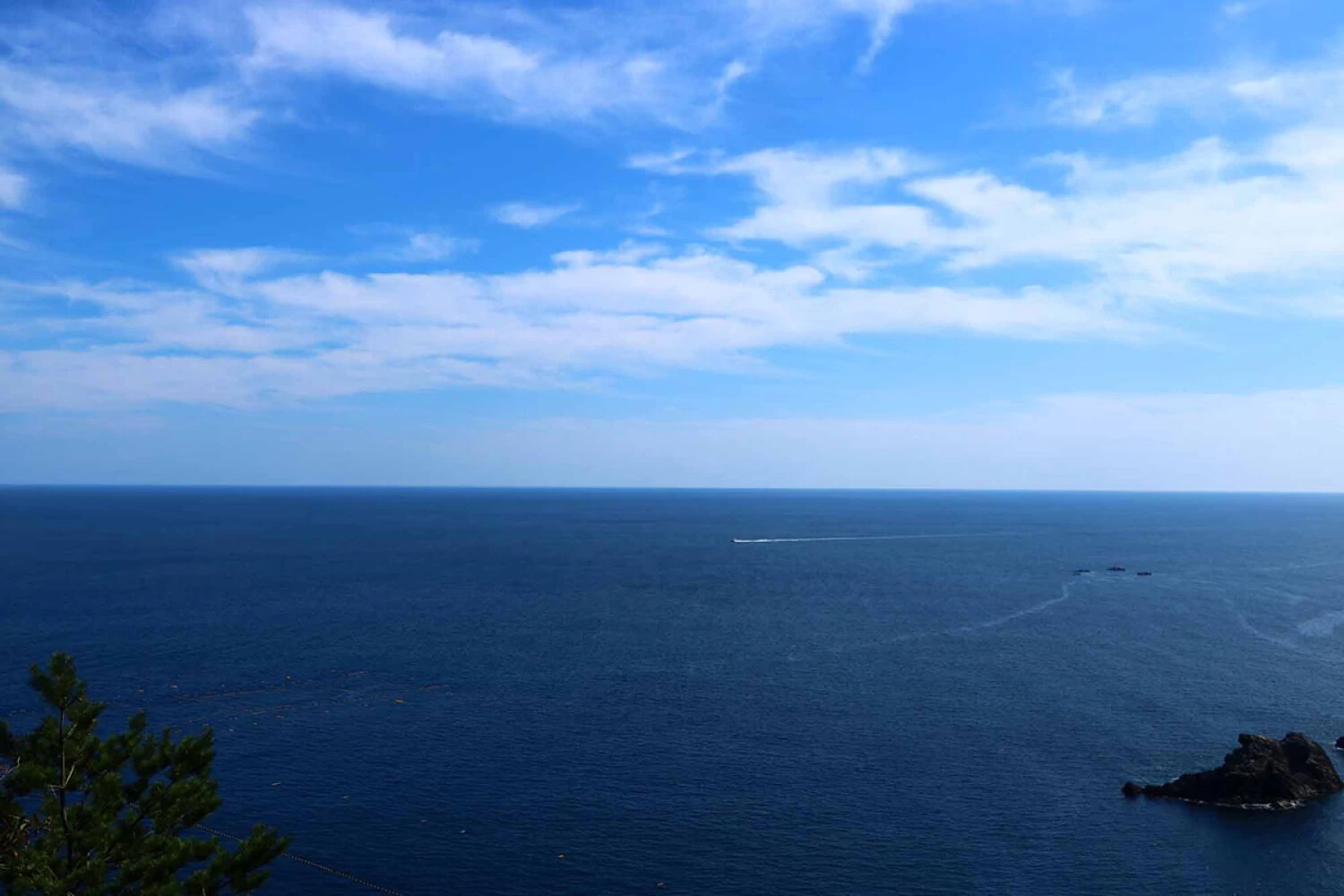 アンモ浦展望台から大海原を一望