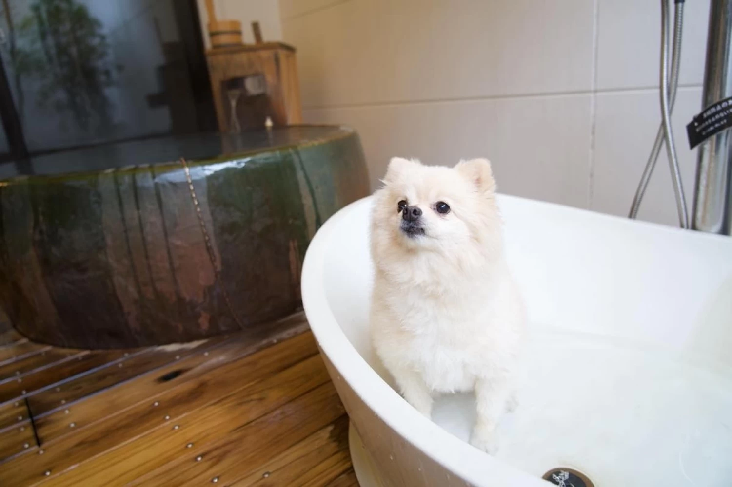 愛犬用のお風呂も！