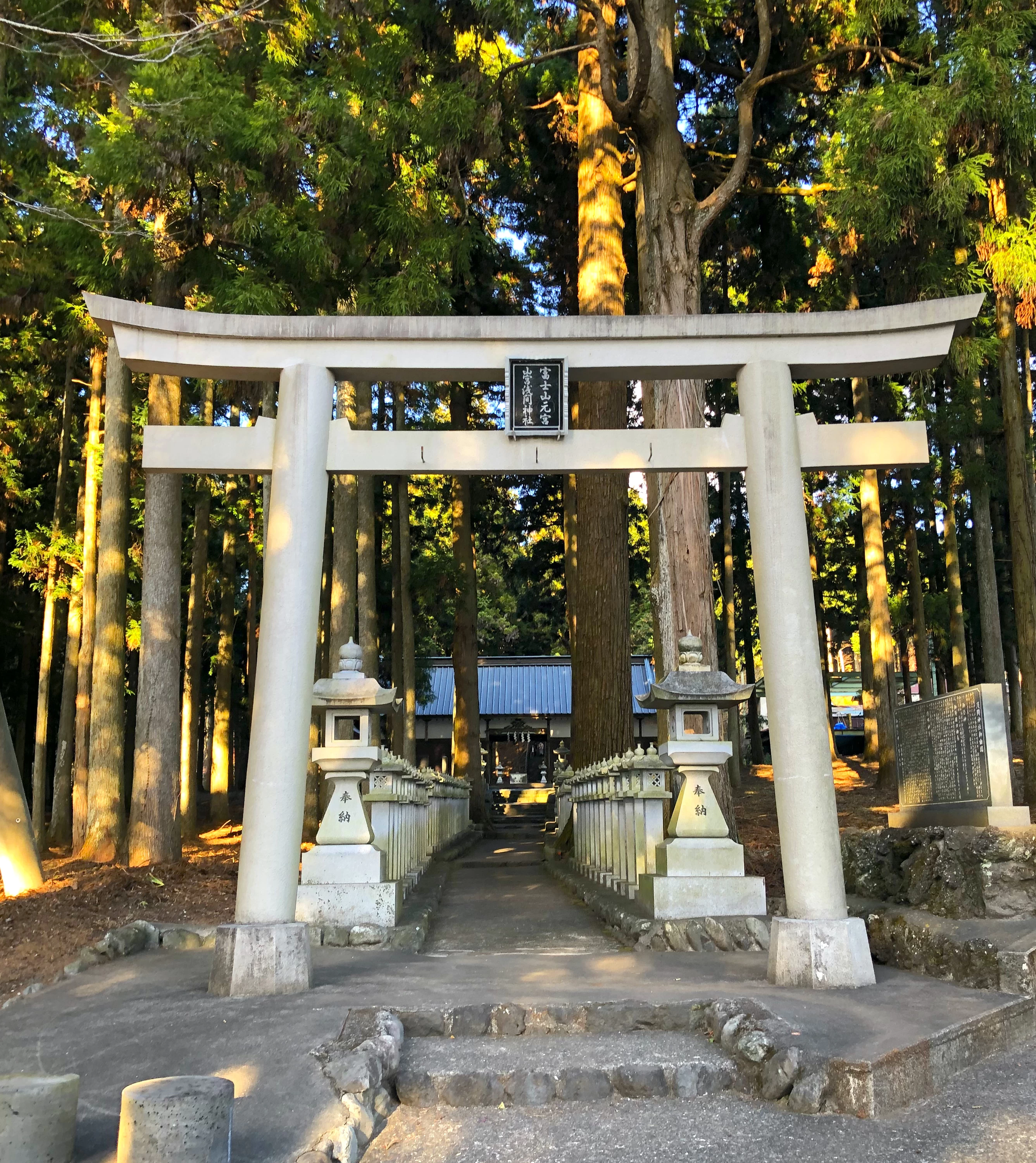 富士山を拝む気分爽快旅｜家族で神社仏閣めぐりも｜旅行プランは旅色で。