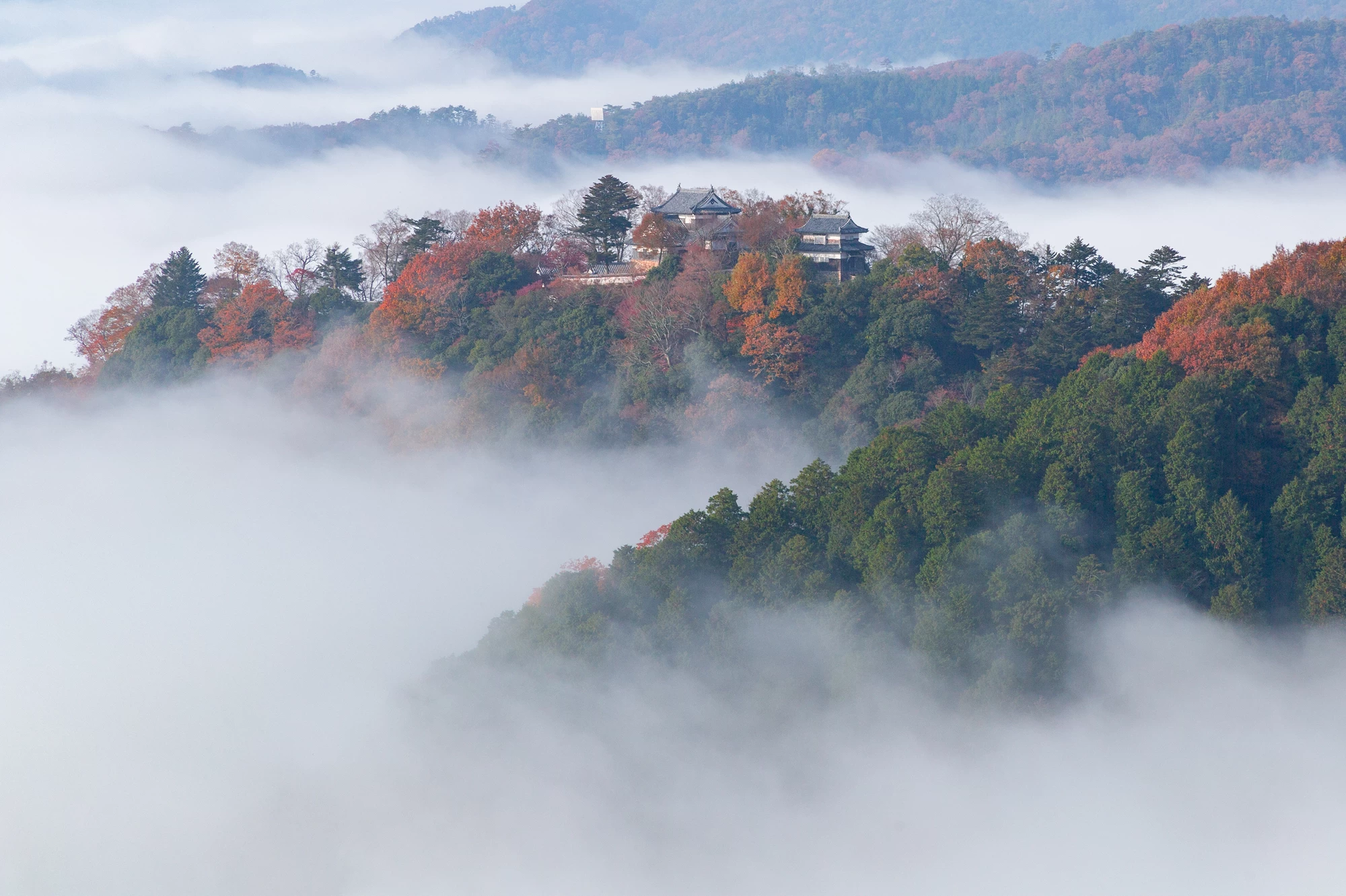 初めて来る人におすすめ｜故郷・岡山で歴史巡り旅｜旅行プランは旅色で。