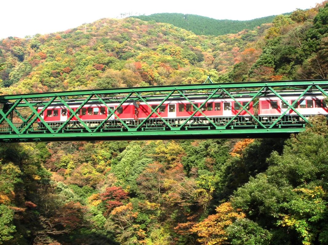 箱根登山電車で絶景を｜グルメも楽しむ女子旅｜旅行プランは旅色で。