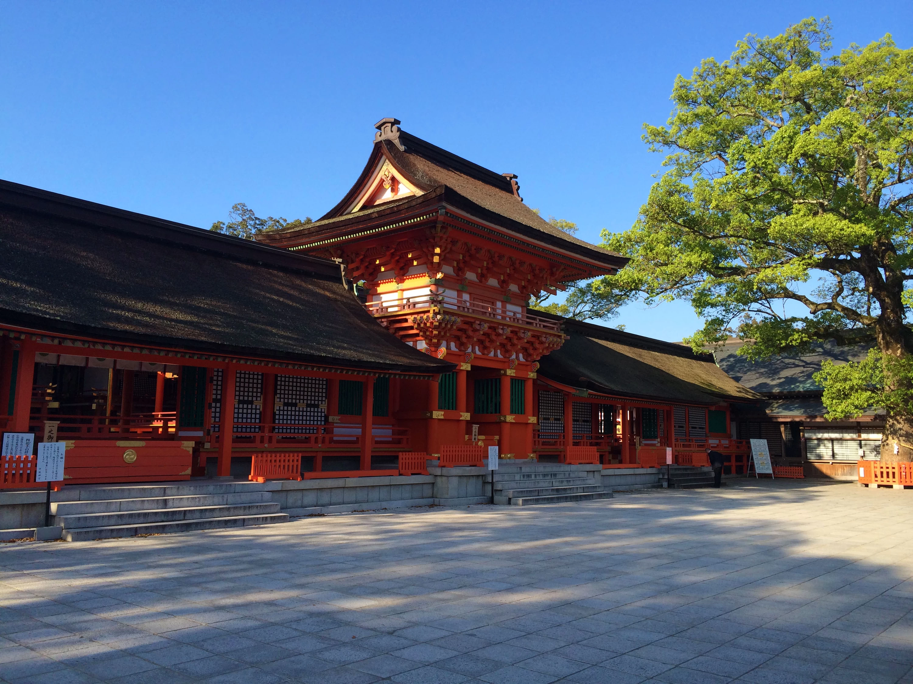 湯布院で文学デート｜52ヘルツのクジラたち｜旅行プランは旅色で。